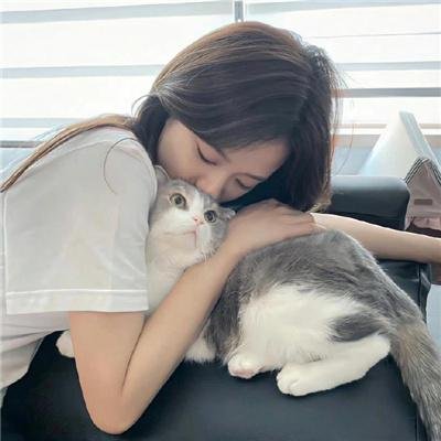 男人与流浪狗